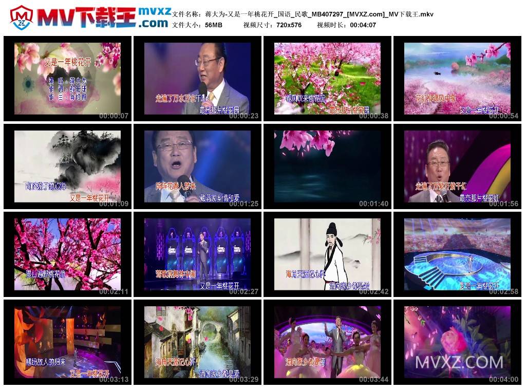 蒋大为-又是一年桃花开_国语_民歌_MB407297
